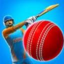 Real Cricket 21 Mod Apk V5.3 আনলিমিটেড সবকিছু